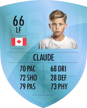 Player Stats Card